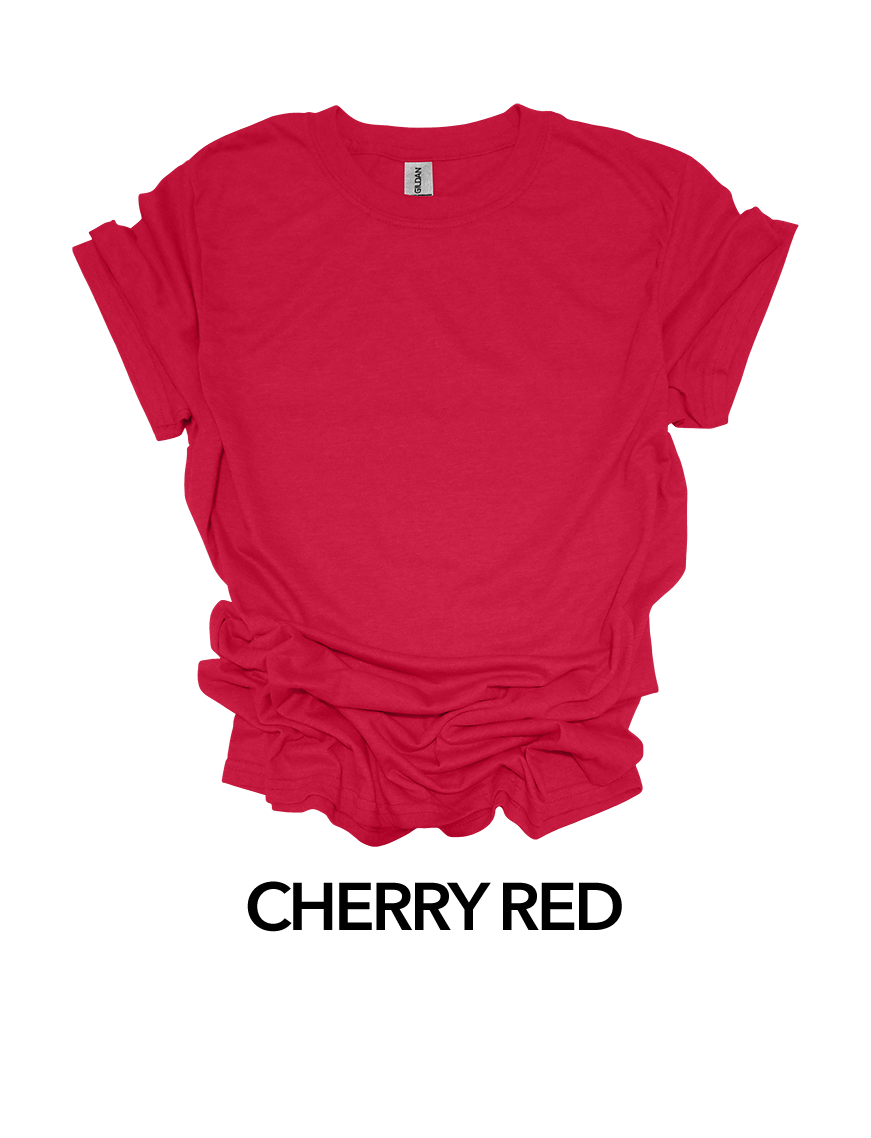 Birthday Crew T-Shirts!