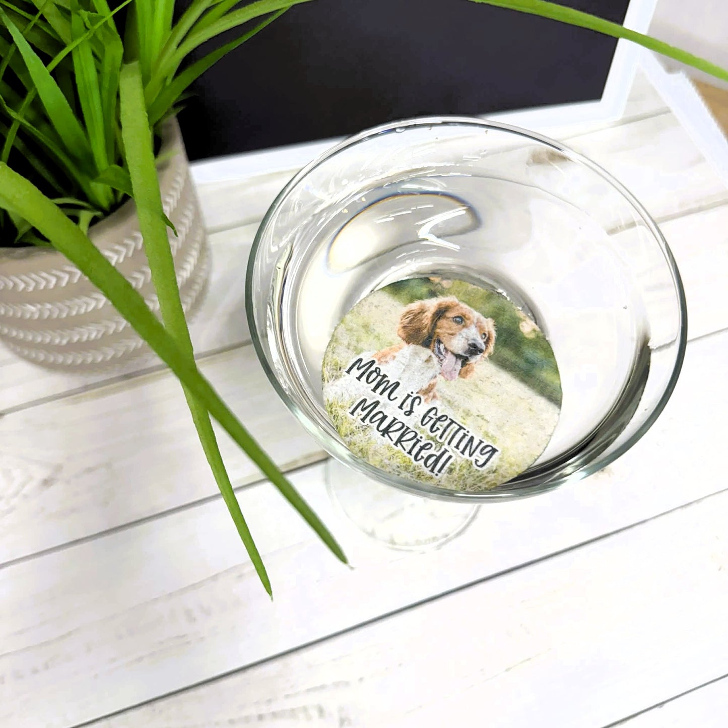 Set of 12 Edible Drink / Cupcake Toppers