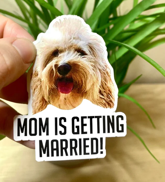 Celebrate Pawsitive News with Personalized Pet Stickers