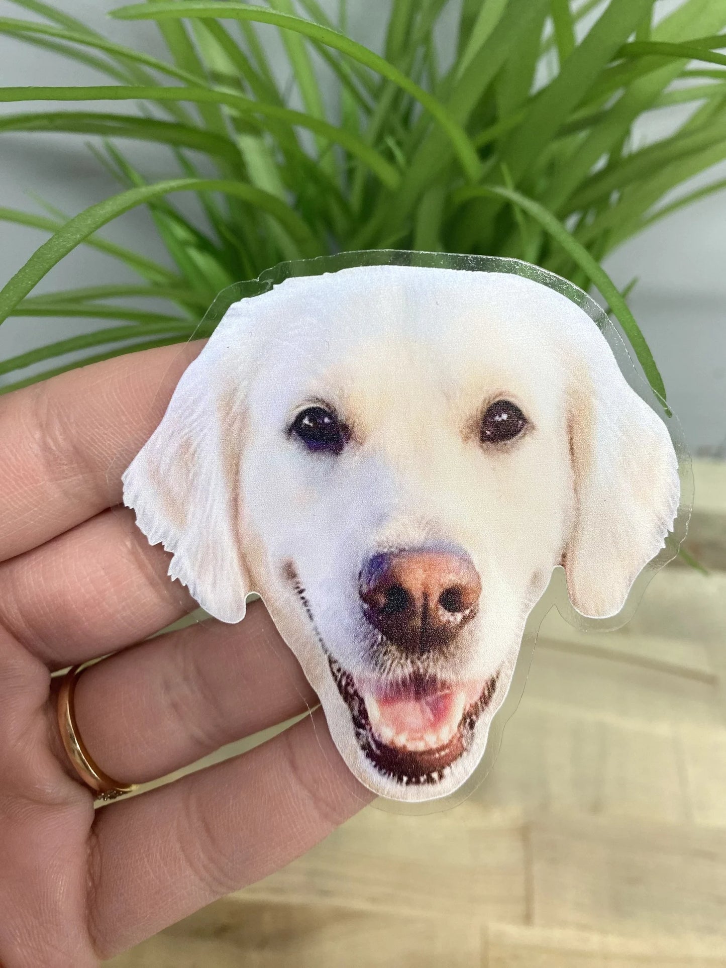 Custom Clear Photo Stickers