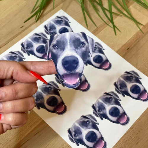 Personalized Face Stickers - Carry Your Smile Everywhere!